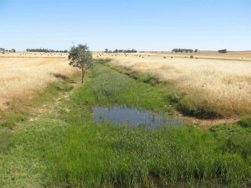 Hill River at Andrews, South Australia. Upstream (southward) view..JPG