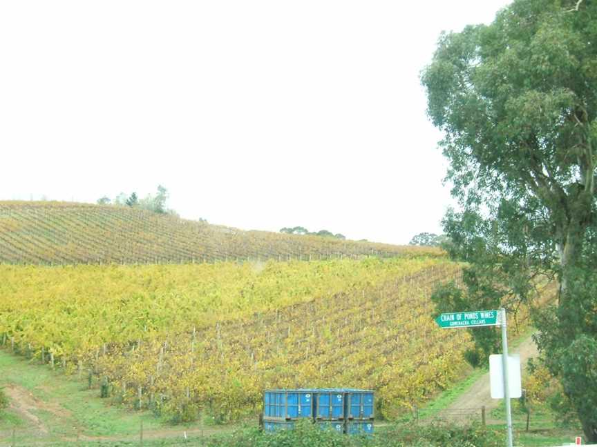 Winery at chain of ponds.jpg