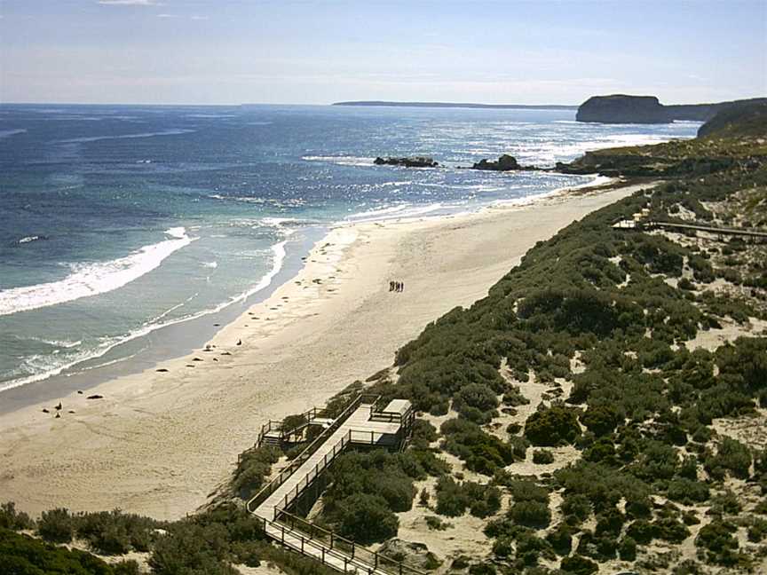 Seal Bay Conservation Park from lookout1.jpg