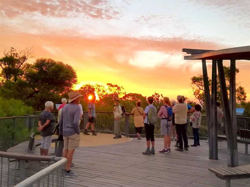 Summer Sunset Walks (Bold Park), Events in City Beach