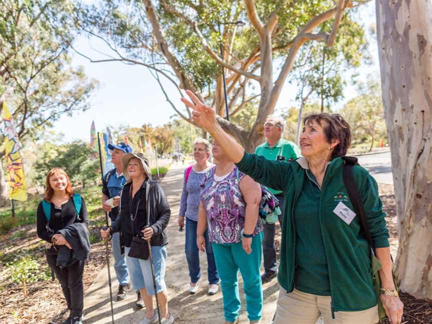 Discover Kings Park, Events in Perth