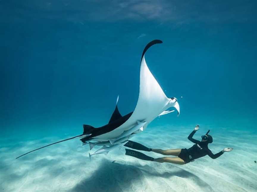 Ocean Film Festival World Tour , Events in Perth