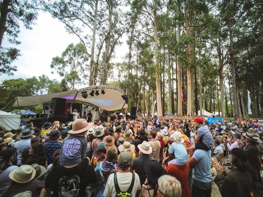 Nannup Music Festival , Events in Nannup