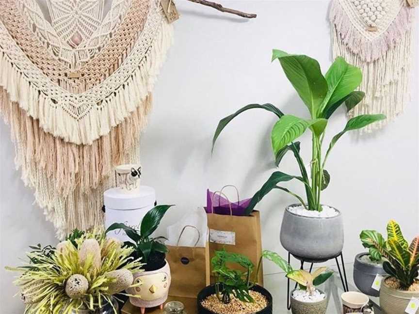 Selection of macrame and plants