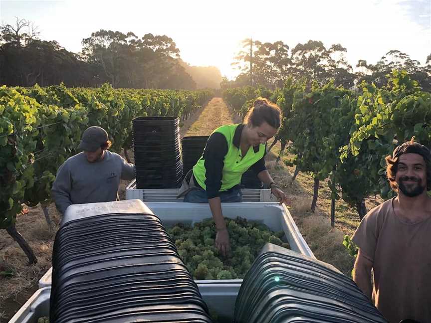 Ashbrook Estate, Wineries in Wilyabrup