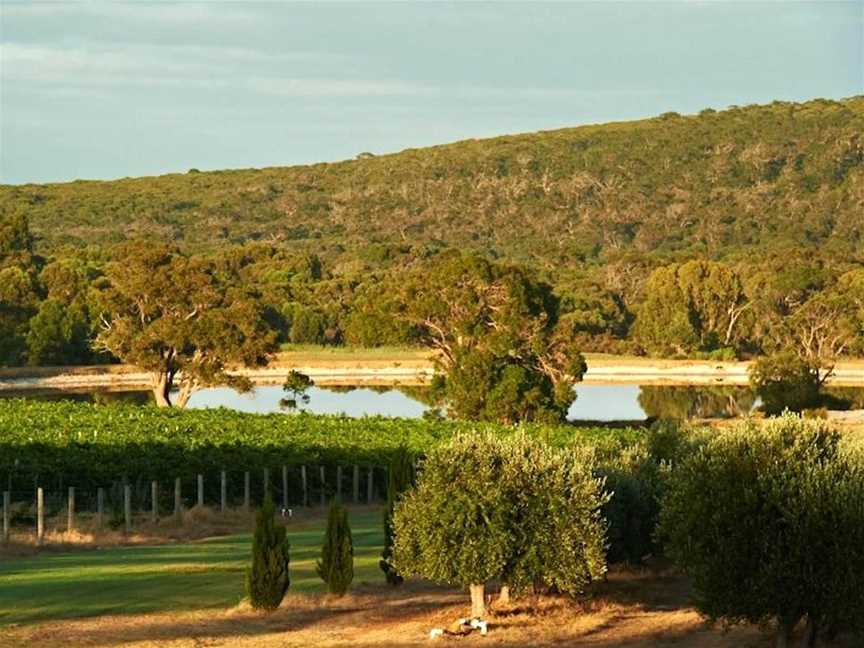 Kelly’s Vineyard & Della Fay Wines, Wineries in Yallingup