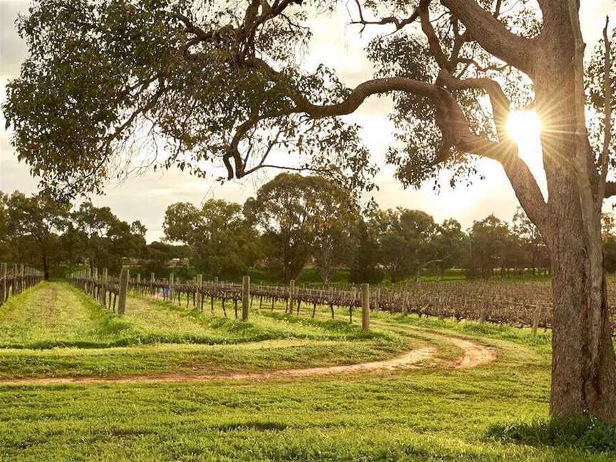 Corymbia, Wineries in Upper Swan