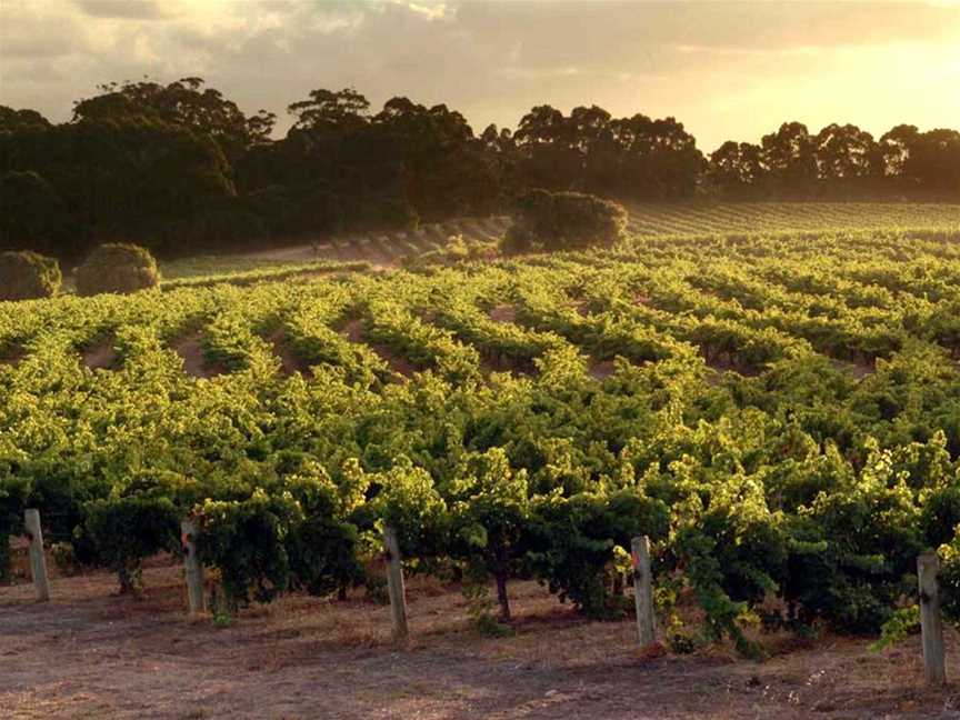 Empire Estate, Wineries in Yallingup