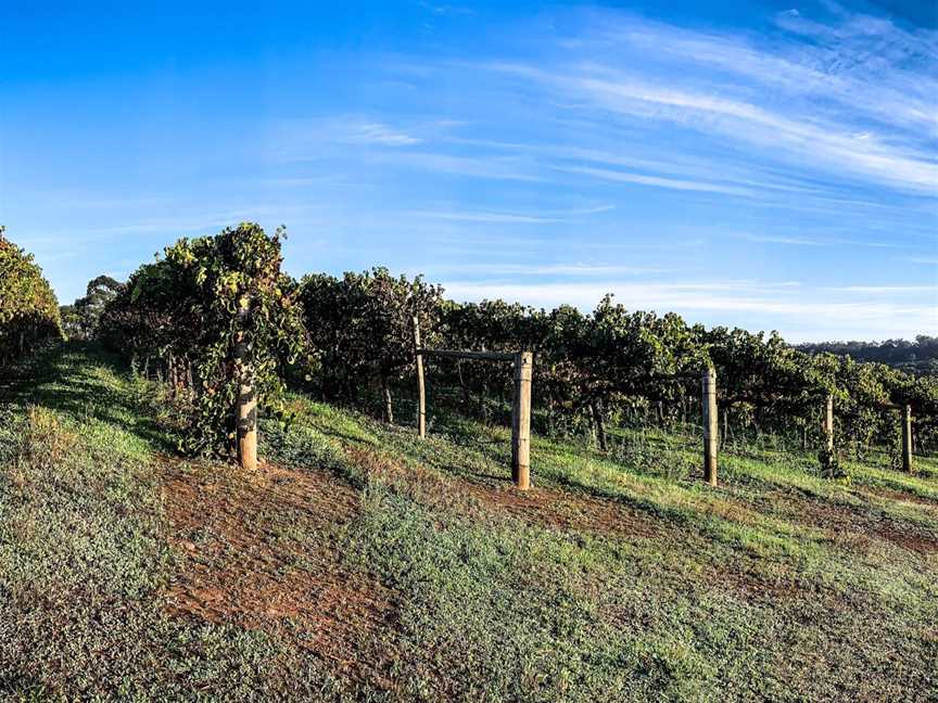 Monty's Leap, Wineries in Kalgan