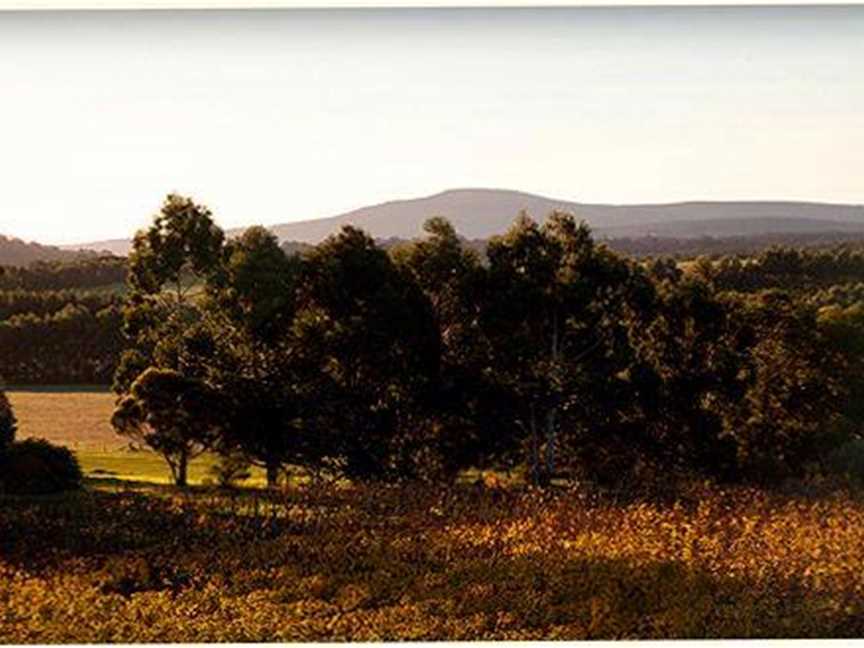 Willoughby Park Wines, Wineries in Denmark