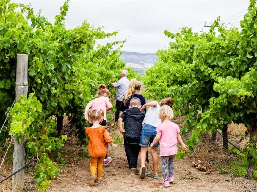 Agostino Wines, Wineries in Aldinga