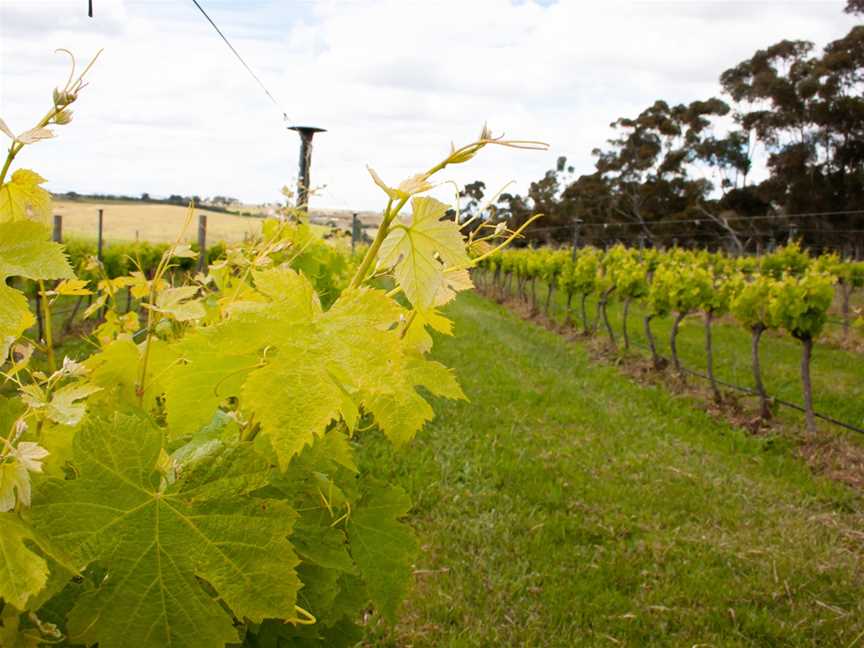 Arundel Farm Estate, Wineries in Keilor