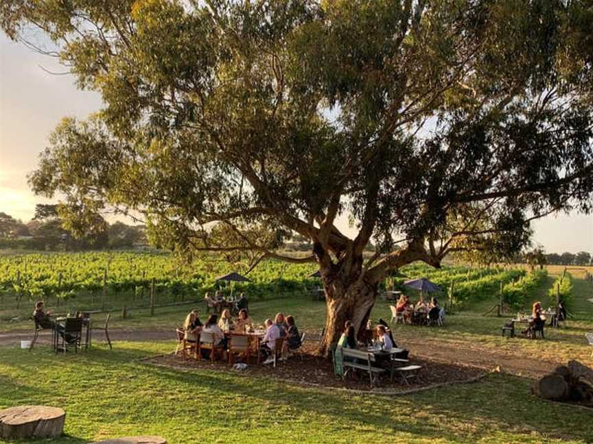 Bennetts on Bellarine, Wineries in Bellarine