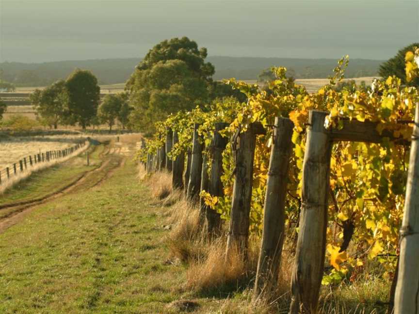 Captains Creek Organic Wines, Blampied, Victoria