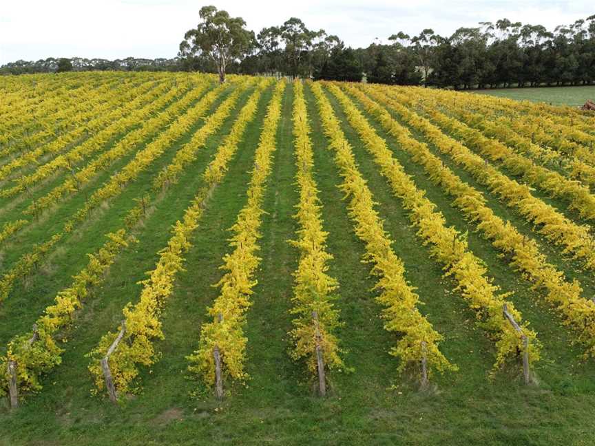 Captains Creek Organic Wines, Blampied, Victoria