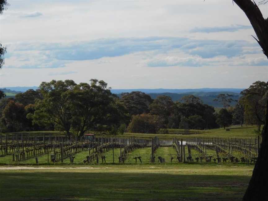 Cobaw Ridge, Pastoria, Victoria