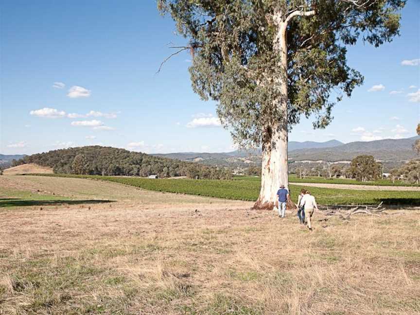 Darling Estate, Whitfield, Victoria