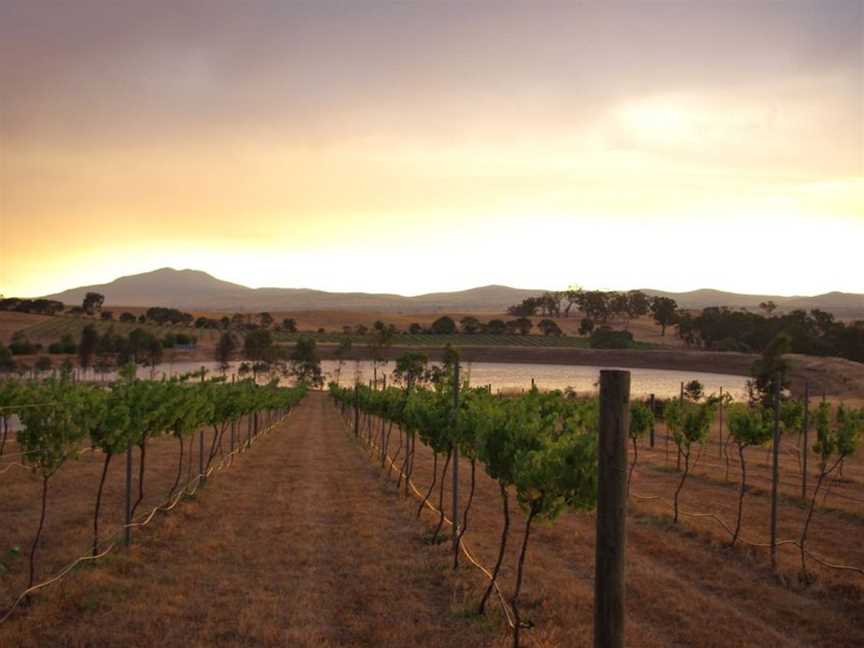 DogRock Winery, Crowlands, Victoria