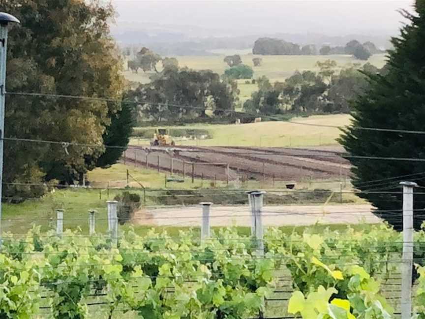 Double Oaks, Wineries in Lancefield