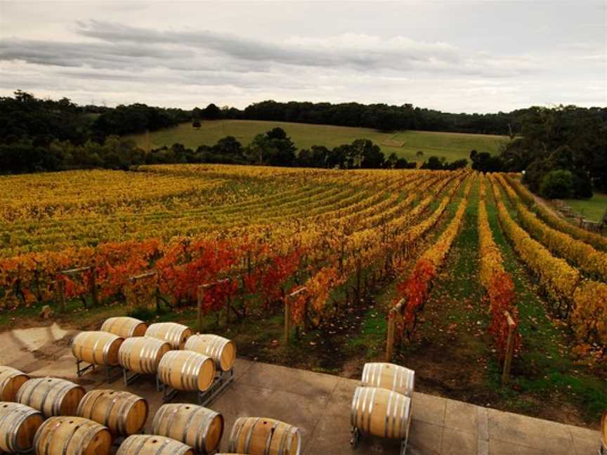 Foxeys Hangout, Wineries in Red Hill