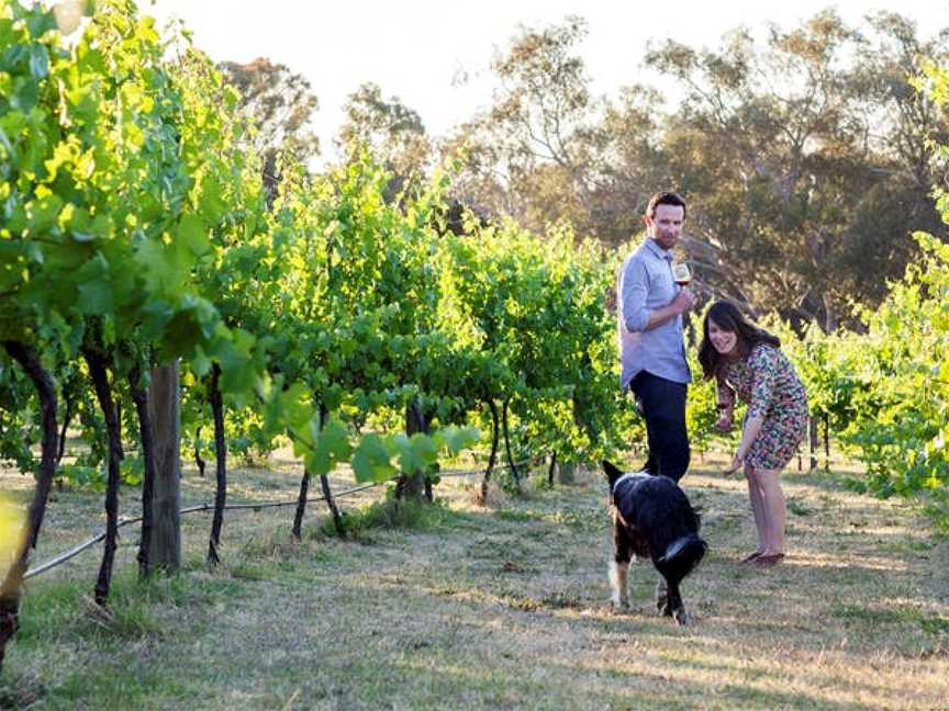 Indigo Vineyard, Everton Upper, Victoria