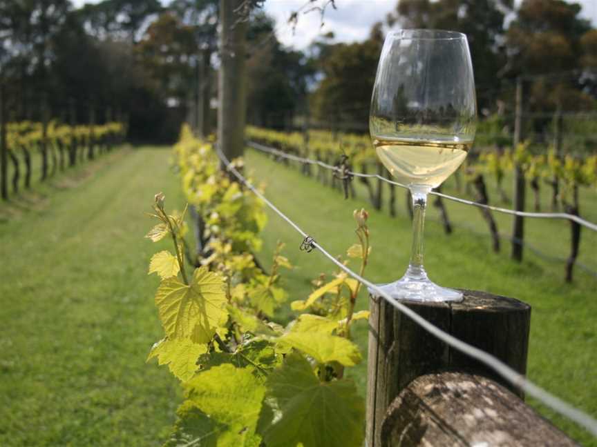 Kings Creek Vineyard, Balnarring, Victoria