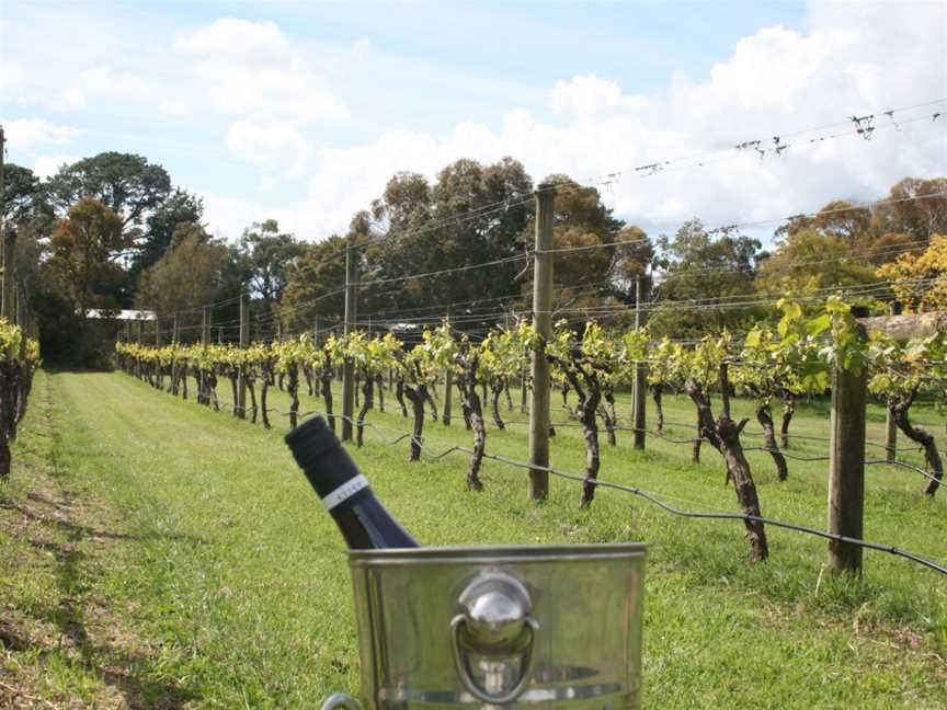 Kings Creek Vineyard, Balnarring, Victoria