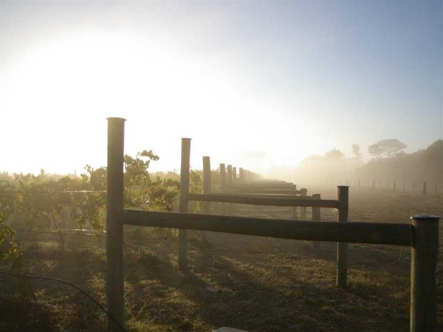 Marcus Hill Vineyard, Wineries in Marcus Hill