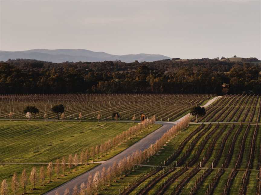 Mitchelton, Wineries in Mitchellstown