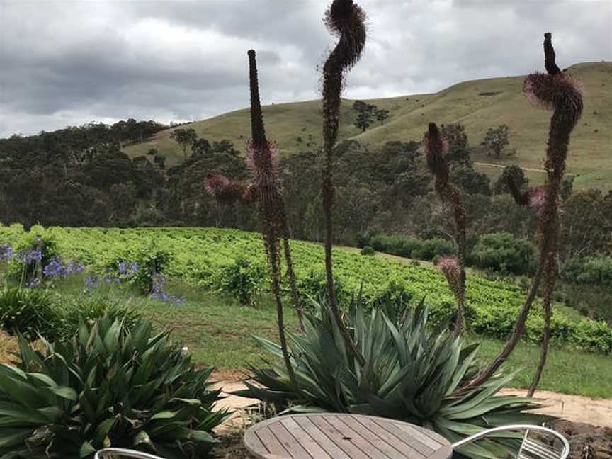 Moorabool Ridge Vineyard & Cafe, Lethbridge, Victoria