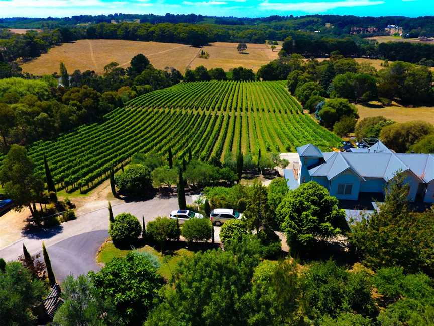 Morning Sun Vineyard, Main Ridge, Victoria