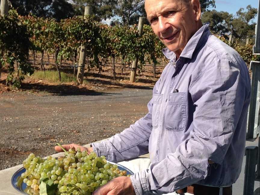 St Ignatius Vineyard, Lamplough, Victoria