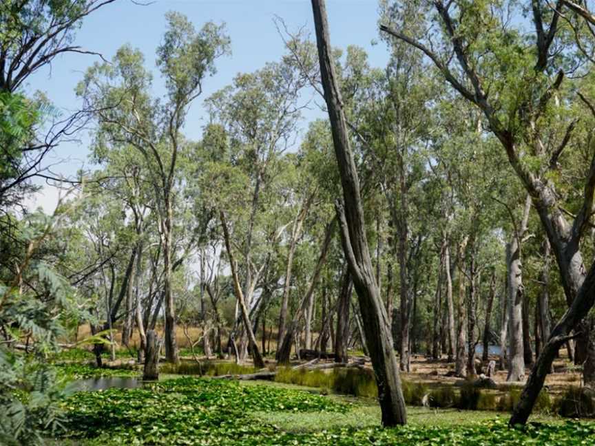 Tahbilk, Wineries in Tabilk