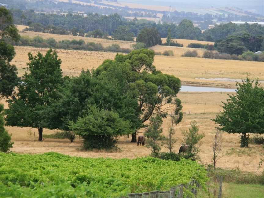 Tarrahill., Yarra Glen, Victoria