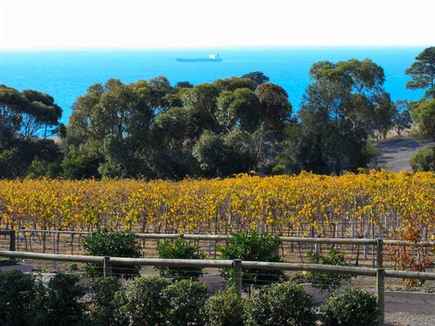 Terindah Estate, Wineries in Bellarine