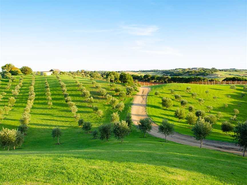 The Cups Estate, Fingal, Victoria