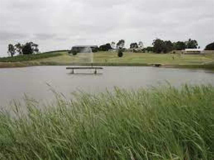 Traralgon Vineyard, Traralgon, Victoria