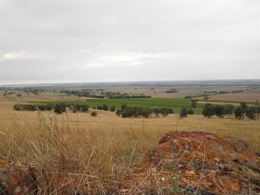 Whistling Eagle Vineyard, Colbinabbin, Victoria