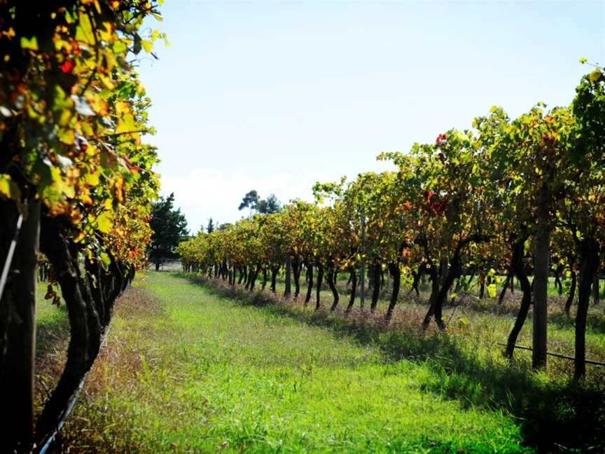 Witchmount Estate, Plumpton, Victoria