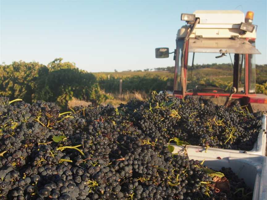 Bondar Wines, McLaren Vale, South Australia