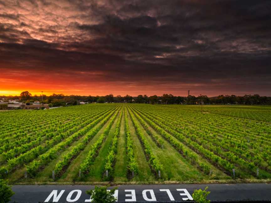 Elderton, Nuriootpa, South Australia