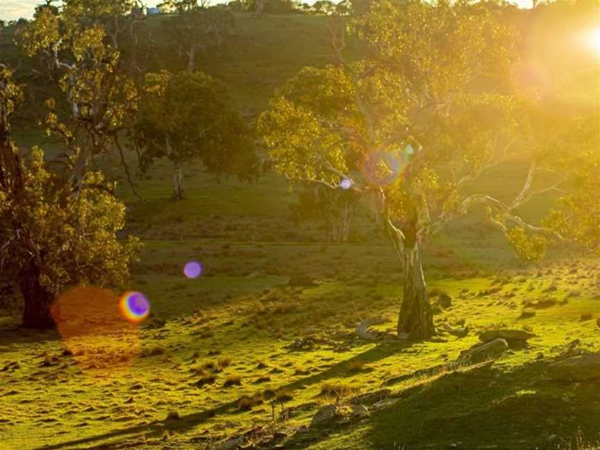 Fernfield Wines, Eden Valley, South Australia