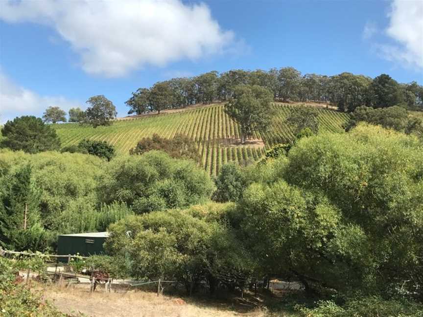 Michael Hall Wines, Tanunda, South Australia