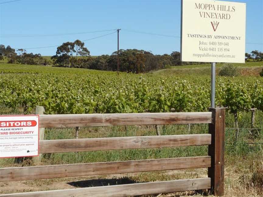 Moppa Hills Vineyard, Nuriootpa, South Australia