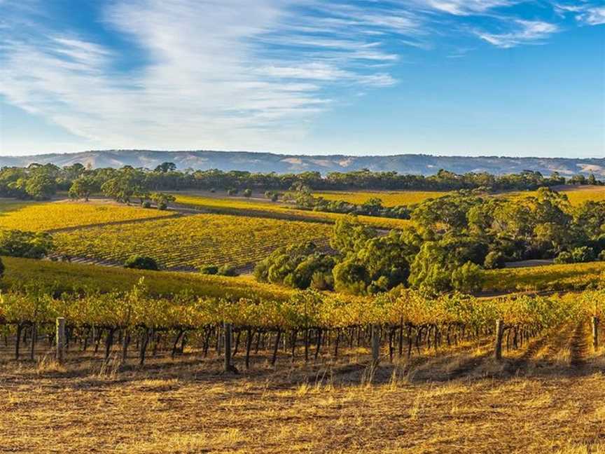 Parker Coonawarra Estate, Penola, South Australia