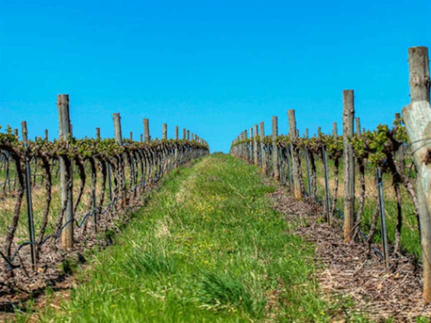 Parker Coonawarra Estate, Penola, South Australia