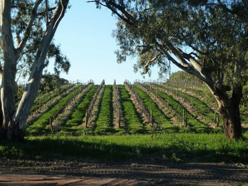 Rieslingfreak, Tanunda, South Australia