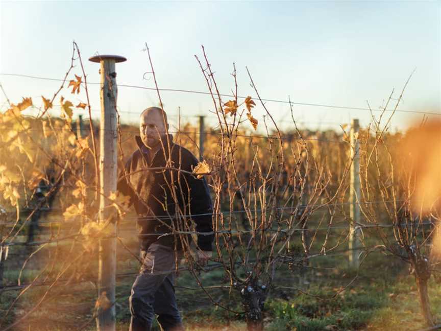 Simon Tolley Wines, Woodside, South Australia