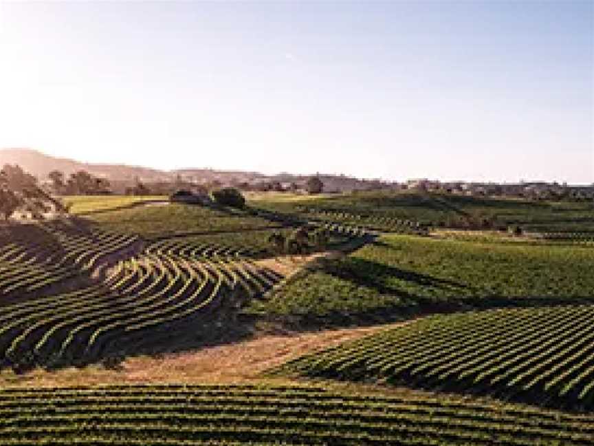 Smith & Hooper, Wineries in Naracoorte