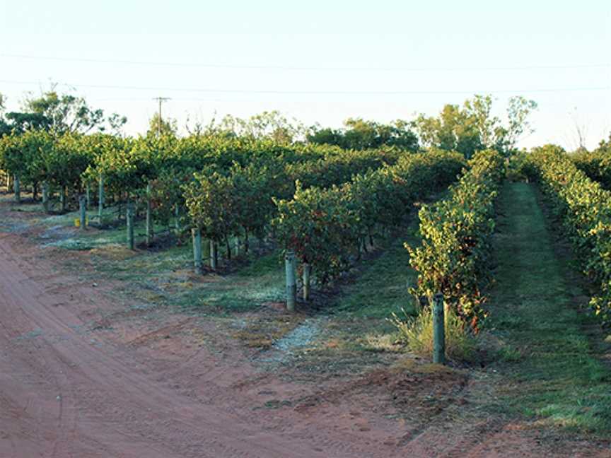 Spook Hill Wines, Cadell, South Australia